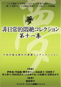 非日常的悶絶コレクション第十一集の画像