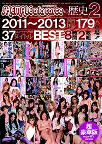 ＳＨＥＭＡＬＥ　ａ　ｌａ　ｃａｒｔｅの歴史　２　２０１１～２０１３　国内作品１７９人登場！！３７タイトルＢＥＳＴ８時間２枚組の画像