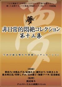 非日常的悶絶コレクション第十三集の画像