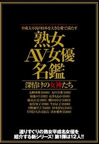 平成大不況の日本を大きな愛で満たす　熟女ＡＶ女優名鑑　深情けの女神たちの画像