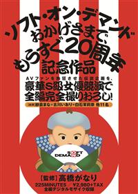 ＡＶファンを熱狂させた伝説企画を、豪華Ｓ級女優競演で全編完全撮りおろし！ソフト・オン・デマンド　おかげさまで、もうすぐ２０周年記念作品の画像