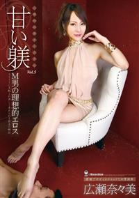 甘い躾　Ｍ男の理想的エロス　Ｖｏｌ．５　広瀬奈々美の画像