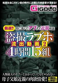 厳選！！特に選んだアブナイ近親相姦　盗撮ラブホ流出動画２　４時間１５組の画像