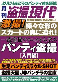 激撮！様々な形状のスカートの奥に迫れ！一流盗撮テクニックから学ぶの画像