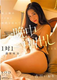 古川いおり　最上級のイイ女と時間を忘れて一晩中中出しＳＥＸの画像