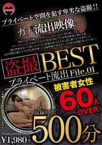 盗撮　プライベート流出５００分　ＢＥＳＴ　Ｆｉｌｅ．０１の画像