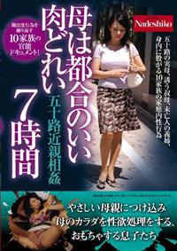 母は都合のいい肉どれい　五十路近親相姦７時間　五十路の実母、誘う叔母、未亡人の義姉、身内に股がる１０家族の家庭内性行為の画像