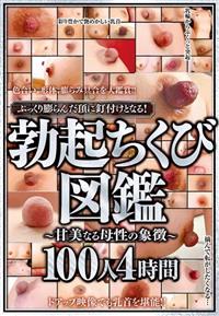 ぷっくり膨らんだ頂に釘付けとなる！勃起ちくび図鑑～甘美なる母性の象徴～１００人４時間の画像