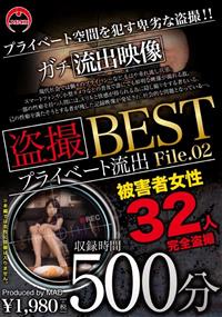 盗撮　プライベート流出５００分　ＢＥＳＴ　ＦＩＬＥ．０２の画像