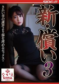 新・償い３　きれい事の謝罪より傷を埋めるセックス　紗々原ゆりの画像