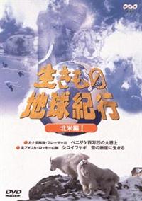 �������̒n���I�s�@�k�ĕ҂P