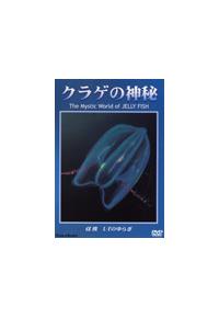 �N���Q�̐_��