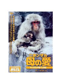 �j�z���U���@��̈��@���Y�̎q��ē��L