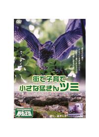 �X�Ŏq��ā@�����Ȗ҂���@�c�~