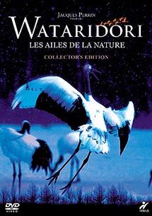 ＷＡＴＡＲＩＤＯＲＩ　もうひとつの物語見逃し配信
