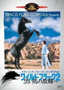 ワイルドブラックTHE BLACK STALLION USオリジナル映画ポスター
