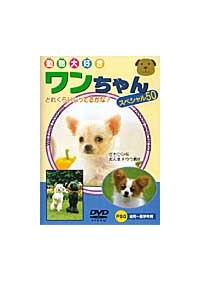 ���������X�y�V����50