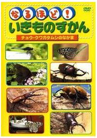 �Ȃ�قǁI�������̂����񂱂񂿂イ