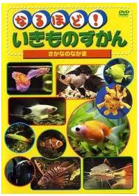 �Ȃ�قǁI�������̂����񂳂���