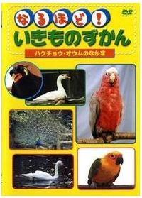 �Ȃ�قǁI�������̂�����Ƃ�@�P