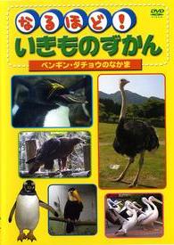 なるほど！いきものずかん ペンギン・ダチョウのなかま | キッズビデオ | 宅配DVDレンタルのTSUTAYA DISCAS