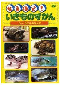 �Ȃ�قǁI�������̂�����͂��イ�邢