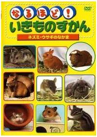 �Ȃ�قǁI�������̂�����قɂイ�邢�@�P