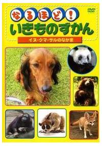 �Ȃ�قǁI�������̂�����قɂイ�邢�@�Q