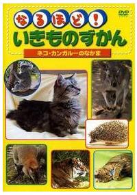 �Ȃ�قǁI�������̂�����قɂイ�邢�@�R