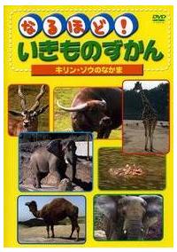 �Ȃ�قǁI�������̂�����قɂイ�邢�@�S