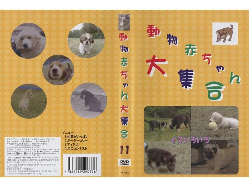 動物赤ちゃん 大集合 Vol 11 いぬ いろいろ キッズビデオ 宅配レンタルのtsutaya Discas