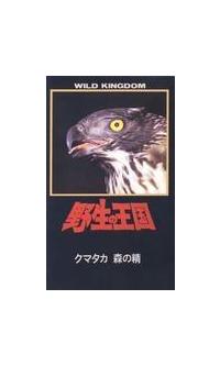 �N�}�^�J�@�X�̐�