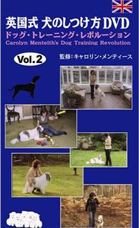 �p�����@���̂������r�f�I