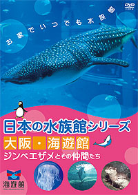 日本の水族館シリーズ 大阪 海遊館 ジンベエザメとその仲間たち | 宅配