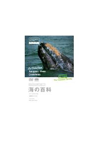 �W���b�N���C���E�N�X�g�[�C�̕S�ȁ@�}�b�R�E�N�W���^�����̃N�W��