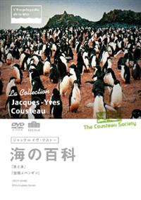 �W���b�N���C���E�N�X�g�[�C�̕S�ȁ@�X�Ɖ��^���ԃy���M��