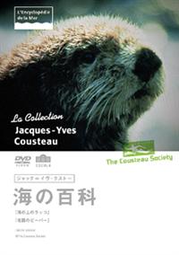 �W���b�N���C���E�N�X�g�[�C�̕S�ȁ@�C�̏�̃��b�R�^�k���̃r�[�o�[