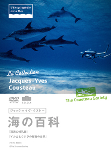 ジャック＝イヴ・クストー海の百科 深海の哺乳類／イルカと