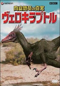 ���H�����̐^���u���F���L���v�g���v