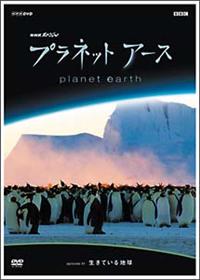 �v���l�b�g�A�[�X�@�d�������������D�P�@�u�����Ă���n���v