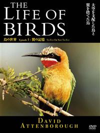 �s�g�d�@�k�h�e�d�@�n�e�@�a�h�q�c�r�@���̐��E�@���̋L��