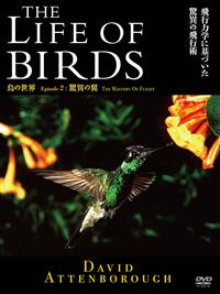 �s�g�d�@�k�h�e�d�@�n�e�@�a�h�q�c�r�@���̐��E�@���ق̗�