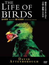 �s�g�d�@�k�h�e�d�@�n�e�@�a�h�q�c�r�@���̐��E�@�O���Ȃ��H�~