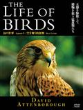 ＴＨＥ　ＬＩＦＥ　ＯＦ　ＢＩＲＤＳ　鳥の世界　空を舞う肉食獣