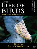 ＴＨＥ　ＬＩＦＥ　ＯＦ　ＢＩＲＤＳ　鳥の世界　漁の才能の出演者・配信先