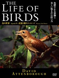 �s�g�d�@�k�h�e�d�@�n�e�@�a�h�q�c�r�@���̐��E�@�ߑ��Ɖ̂̃��b�Z�[�W