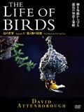 ＴＨＥ　ＬＩＦＥ　ＯＦ　ＢＩＲＤＳ　鳥の世界　巣と卵の防衛の動画配信