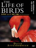 ＴＨＥ　ＬＩＦＥ　ＯＦ　ＢＩＲＤＳ　鳥の世界　環境への適用の動画配信