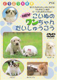 NEW�e���̃���������W��