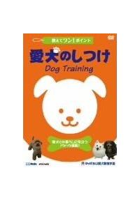 �����ă����I�|�C���g�@�����̂���